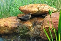 23 06 15_5145_edited-1